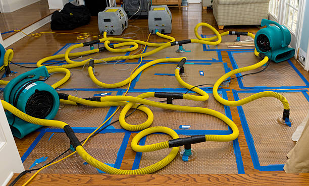 Professional Basement Flood Cleanup technician working in South Grafton, MA
